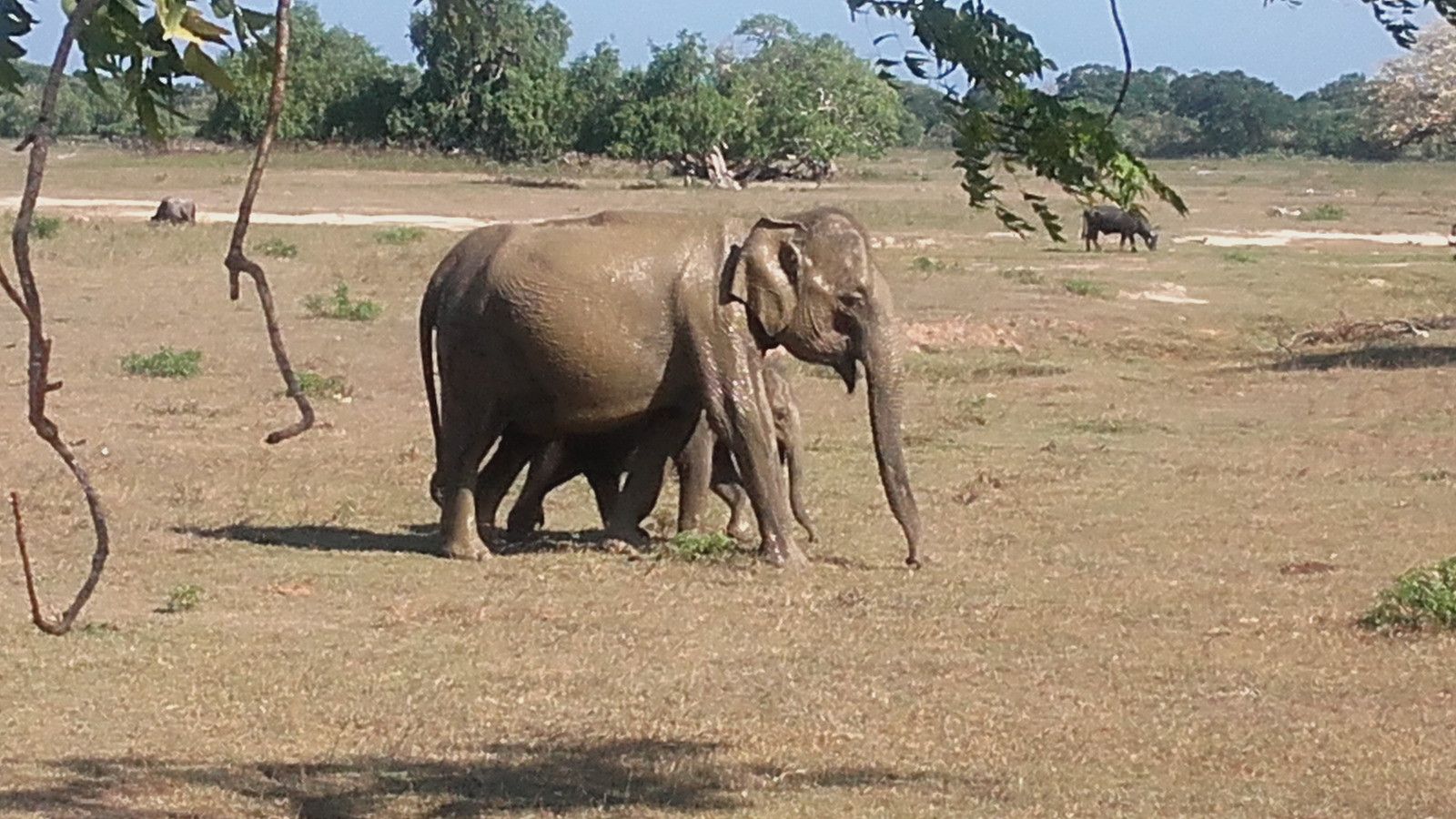 Guest moment 10 from a Sri Lanka Round Tours trip